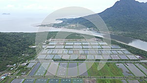 Aerial view of a fishery and prawn farm in Santubong area of Sarawak, Malaysia