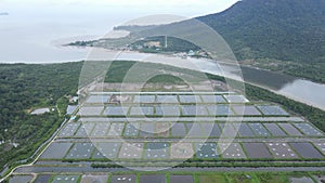 Aerial view of a fishery and prawn farm in Santubong area of Sarawak, Malaysia