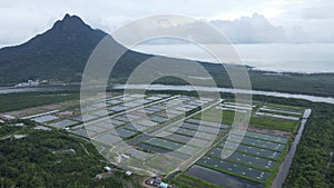 Aerial view of a fishery and prawn farm in Santubong area of Sarawak, Malaysia