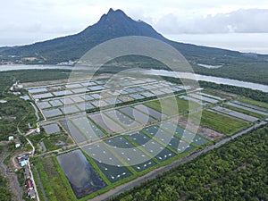 Aerial view of a fishery and prawn farm in Santubong area of Sarawak, Malaysia