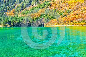 Aerial view of Five Flower Lake at autumn sunrise time.