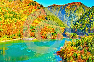 Aerial view of Five Flower Lake at autumn sunrise time.