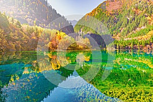 Aerial view of Five Flower Lake at autumn sunrise time.