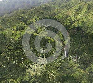 An aerial view of five waterfalls plummeting through a rainforest growing on the slopes of Waimea Canyon in Kauai, Hawaii