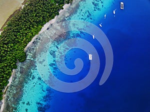 Aerial view of five yachts moored inside a vibrant tropical atoll behind an island in pristine,  clear water.