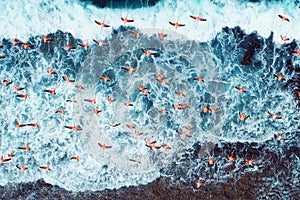 Aerial view of Flamingos in caribbean sea