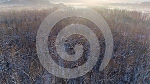 Aerial view: Flight over the winter forest. Beautiful sunrise. Village by the river. Frosty weather. Winter landscape