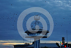 Aerial view of flock of birds flying around a radar station against blue suset sky background