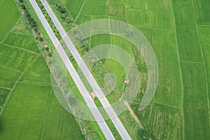 Aerial view from flying drone. Top view asphalt road in the middle of green young rice fields, Thailand