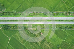 Aerial view from flying drone. Top view asphalt road in the middle of green young rice fields, Thailand