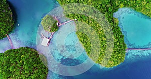 Aerial view flying over the beautiful and tropical green mountains Sugba Lagoon in Siargao, Philippines