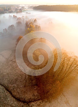 Aerial view of fog at sunrise over landscape forest trees