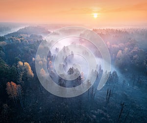 Aerial view of foggy forest and meadows at sunrise in autumn