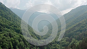 Aerial view of foothills with a dense green forest