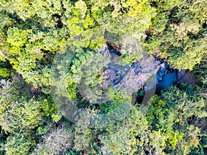 Aerial view of forest