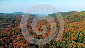 Aerial view of a forest in autumn
