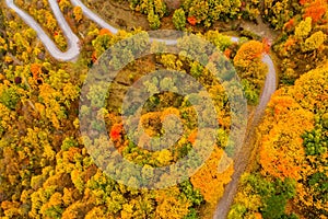 Aerial view of forest in autumn with road in the Epirus Zagorohoria, Greece.