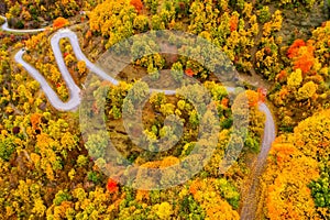 Aerial view of forest in autumn with road in the Epirus Zagorohoria, Greece.