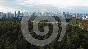 Aerial view of the forest the city and the car interchange