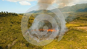 Aerial view Forest fire. Busuanga, Palawan, Philippines.