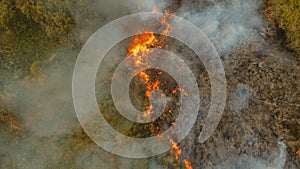 Aerial view Forest fire. Busuanga, Palawan, Philippines.