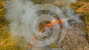 Aerial view Forest fire. Busuanga, Palawan, Philippines.