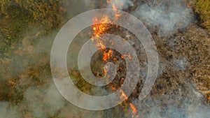 Aerial view Forest fire. Busuanga, Palawan, Philippines.