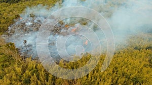 Aerial view Forest fire. Busuanga, Palawan, Philippines.