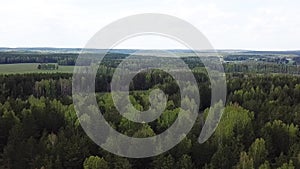 Aerial view of forest and green meadow, summer nature landscape. Stock footage. Picturesque rural fields from a bird eye