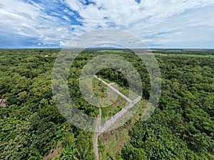 The aerial view of the forest in Kulonprogo, Yogyakarta, is a breathtaking spectacle that showcases nature's magnificence. photo