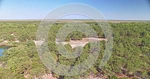 Aerial view of forest and lake