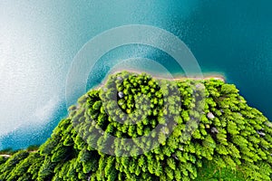 Aerial view of a forest lake. Aerial view of blue lake and green forests on a sunny summer day. Drone photography. Forest and lake