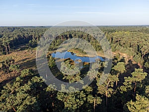 Aerial view on forest and lakes. Sunny morning in Nature protected park area De Malpie near Eindhoven, North Brabant, Netherlands