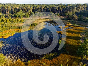 Aerial view on forest and lakes. Sunny morning in Nature protected park area De Malpie near Eindhoven, North Brabant, Netherlands