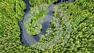 Aerial view on the forest and river