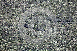 Aerial view of the forest of the Riviere des Remparts in Reunion Island