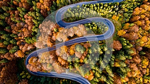 Aerial view of forest road in beautiful autumn .at sunset. Serpentine asphalt road details with colourful landscape with empty roa