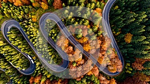 Aerial view of forest road in beautiful autumn at sunset. Serpentine asphalt road details with colourful landscape, yellow trees