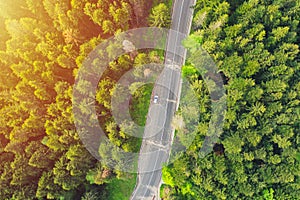 Aerial view of a forest road passing through a fir trees forest