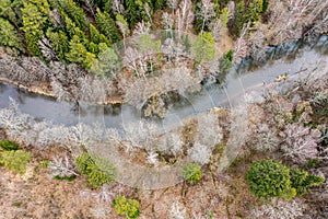 Aerial view of a forest and small river at spring season. top view