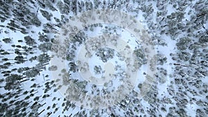 Aerial view of forest after snow