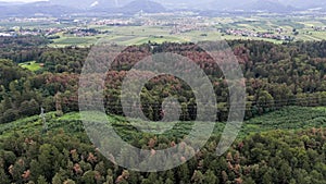 Aerial view of forest spread across Slovenias country side