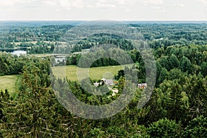 Aerial view of the forest - spruce trees from the top.