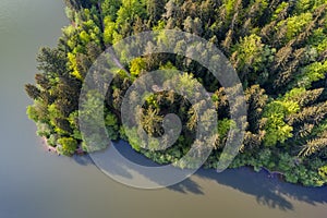 Aerial view of forest in the Swabian forest photo