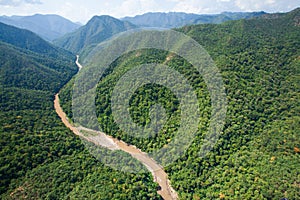 Aerial view forest of Thailand, Teak forest and river in rainy s