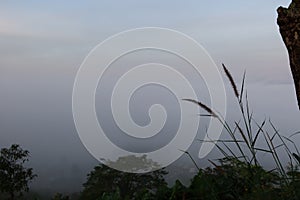 Aerial view, forest, trees, fog, beautiful Thailand, winter, selectable focus, Khao Kho viewpoint, Phetchabun, Thailand