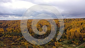 Aerial view of the forest under clouds during the autumn. Crowns of trees with yellow foliage. Deciduous forest in the