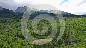 Aerial view of forest under high Tatras mountains recovering after disastrous windstorm