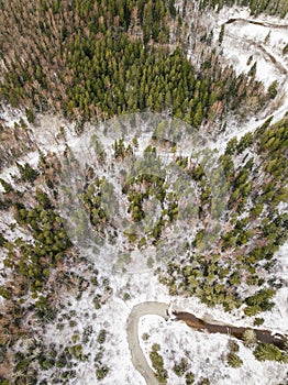 Aerial view of forest, winding road and winding river in Riezupe river nature park in winter day, Latvia