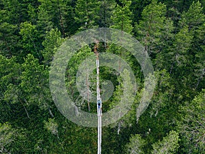 Aerial view of forest with wooden hiking trail in Finland. Girl hiking in SalamajÃ¤rvi National Park